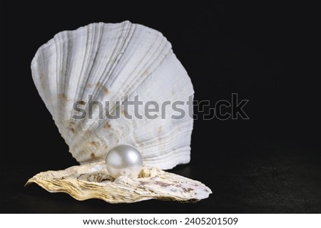 a large pearl lies on a beautiful seashell, photographed in close-up on a dark background, the concept of glamorous women's jewelry