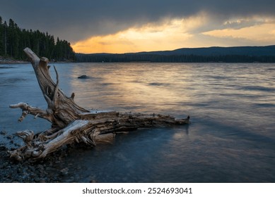 A large piece of driftwood rests on the rocky shore of a calm lake during sunset. The sky is painted with orange and yellow hues, partially obscured by dark clouds. A dense forest and distant hills li - Powered by Shutterstock