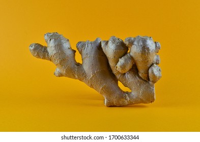 Large piece of fresh Root Ginger on a yellow background. Fresh organic ginger
