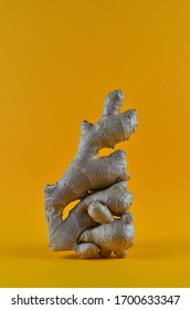 Large piece of fresh Root Ginger on a yellow background. Fresh organic ginger