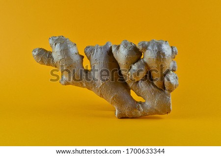 Large piece of fresh Root Ginger on a yellow background. Fresh organic ginger
