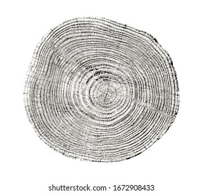 Large piece of round wood with growth rings on a white background. Black and white felled tree trunk cut from the woods. Detailed natural organic texture. 