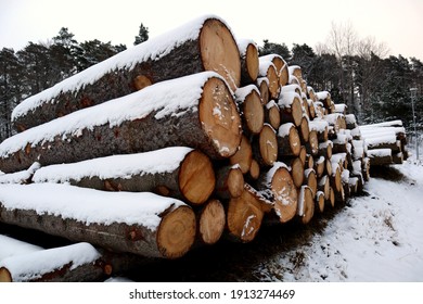 A large pile of cut down trees. Timber and lumber logs covered in snow during the winter. Photo from the side. The trunks will become paper. Logging industry. Gray weather. Stockholm, Sweden.