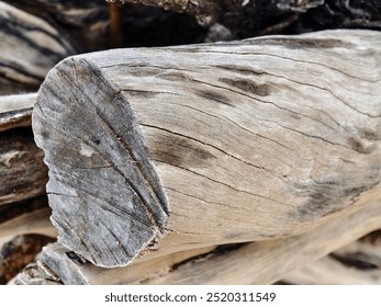 A large pile of driftwood is resting on top of a beautiful sandy beach - Powered by Shutterstock