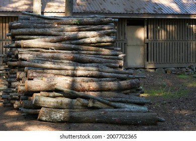 a large pile of firewood lying in the middle of the countryside in the summer in the grass. High quality photo