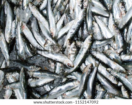 Similar – Image, Stock Photo ANCHOA CLUSTER Chrome