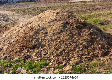 Large Pile Organic Rotten Chicken Droppings In Spring. Natural Fertilizer Concept