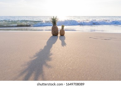 large pineapple and small pineapple stand on the sand against the background of the sea and sunset. Photo is ideal for advertising, poster and wallpaper
