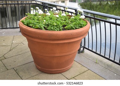 Large Plant Pot On A High Balcony