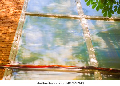 Large plastic windows for background. Forest reflection in glass