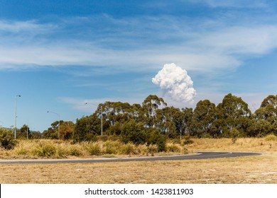 Large Plume Of Smoke In Bunyip State Park.