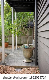 A Large Pot Plant And Painted Wooden Chair At The Entry To A Home Through The Garden