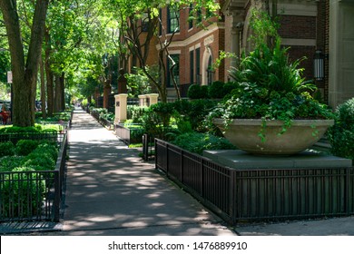 Large Potted Plant And Sidewalk In Front Of Old Homes In The Gold Coast Neighborhood Of Chicago