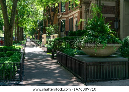 Large Potted Plant and Sidewalk in front of Old Homes in the Gold Coast Neighborhood of Chicago