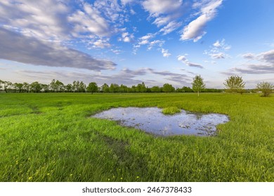 A large puddle in the middle of a field. Sunset sky, spring evening landscape, soft sunlight on the grass.