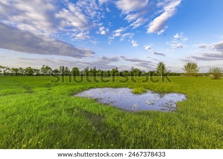A large puddle in the middle of a field. Sunset sky, spring evening landscape, soft sunlight on the grass.