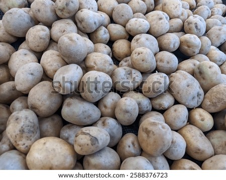 Similar – Image, Stock Photo Some soil in the water bowl