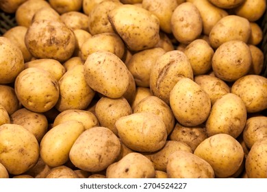 A large quantity of raw, light yellow potatoes fills the entire frame. The potatoes are unpeeled and have some dirt on them. They have small dark spots all over. Copy ad text space