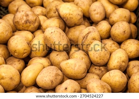 A large quantity of raw, light yellow potatoes fills the entire frame. The potatoes are unpeeled and have some dirt on them. They have small dark spots all over. Copy ad text space