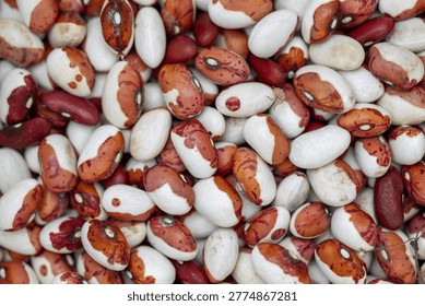 A large quantity of red beans