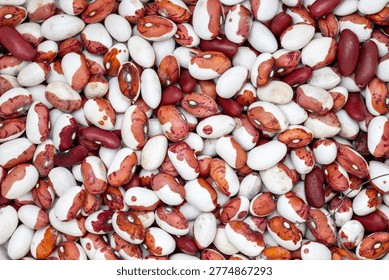 A large quantity of red beans