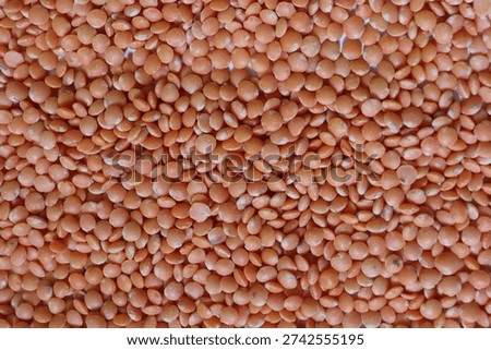 A large quantity of red lentils spread out to cover the entire surface.