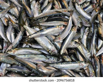 large quantity of sardines at the fish market - Shutterstock ID 2096756818