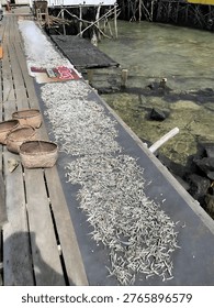 A large quantity of small fish are spread out to dry on a long, flat surface on a wooden pier. Baskets are visible nearby.