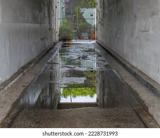 A large rain puddle pools on the ground in drought ridden Los Angeles.