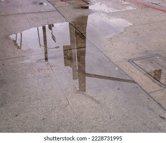 A large rain puddle pools on the ground in drought ridden Los Angeles.