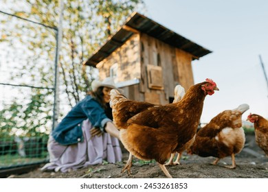 A large red hen close-up in a chicken coop while being fed by a female farmer. Eco-friendly lifestyle with free-range chicken feeding. Rural scene, organic farming - Powered by Shutterstock