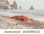Large red jasper rock on the beach, with the sea in the background. Big Red Jasper Stone Close Up