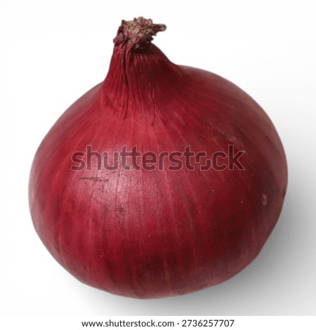 A large red onion with a brown stem on a white background vegetable food ingredient .