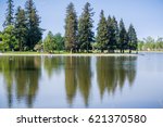 Large redwood trees reflected in the calm water of Lake Ellis, Marysville, California