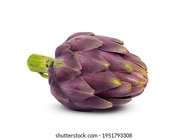 large and ripe artichoke on a white background