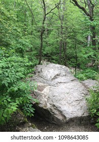 Large rock in forest