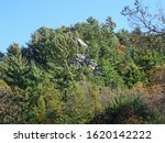 A large rock formation in Roche-A-Cri State Park, Wisconsin