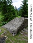 Large rock in a lush green forest surrounded by evergreen trees.