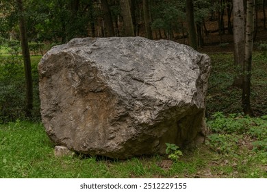 A large rock in the middle of the forest, close up.