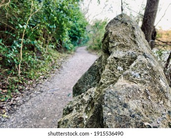 Large Rock On Waterfront Trail