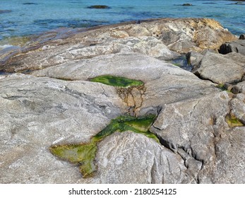 A Large Rock With Puddles That Is Filled With Green Sludge.