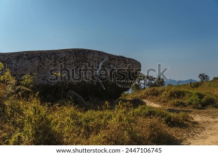 A large rock with a shark's mouth carved into it sits in a field. The rock is surrounded by grass and trees, creating a peaceful and serene atmosphere