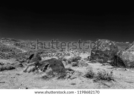 Similar – Image, Stock Photo desert guard Colour photo