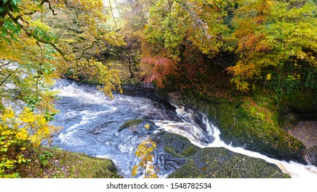           Large rocks in the river bed with Autum trees over hanging                      