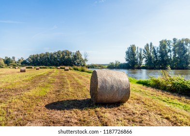 Large roll of harvested hay in the foreground. The hay roll is wrapped with air-permeable mesh. The grassland is bordered by a lake, bushes and trees. It is a sunny day at the end of the Dutch summer.