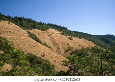 Large rolling hills covered in dried grass in a meadow dotted with oak tree woodlands, with the northern cascade mountain range in the distance under a clearly blue sky.  - Powered by Shutterstock