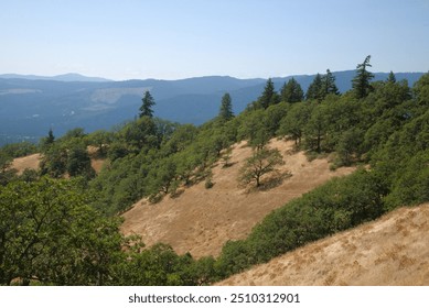 Large rolling hills covered in dried grass in a meadow dotted with oak tree woodlands, with the northern cascade mountain range in the distance under a clearly blue sky. - Powered by Shutterstock