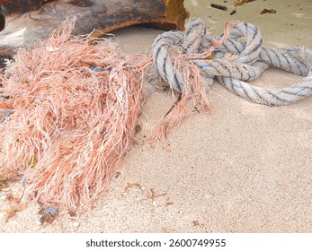 a large rope that was stranded on the beach