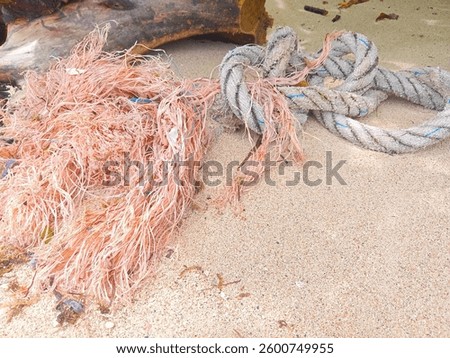 a large rope that was stranded on the beach