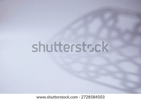 Large rosette shadow along the edge on a cool white background with copy space